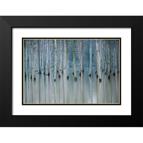 Enchanted Forest Black Modern Wood Framed Art Print with Double Matting by Butnaru, Ralu
