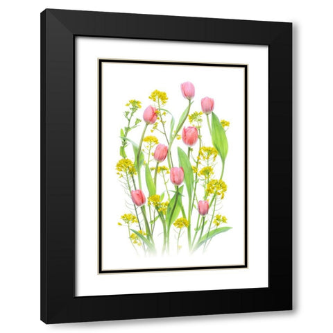 Bright Spring Flowers Black Modern Wood Framed Art Print with Double Matting by Jacobs, Lydia