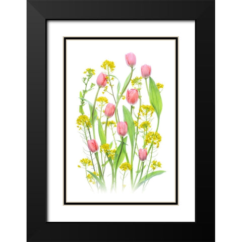 Bright Spring Flowers Black Modern Wood Framed Art Print with Double Matting by Jacobs, Lydia