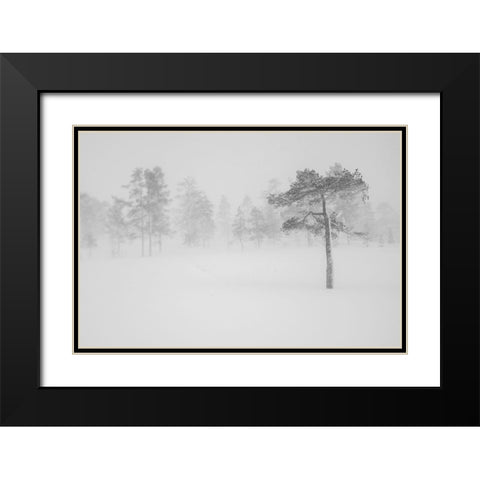 Tree In Snowstorm Black Modern Wood Framed Art Print with Double Matting by Normark, Helena