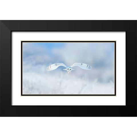 Winter-Winter-Winter,Wonderland Black Modern Wood Framed Art Print with Double Matting by Wong, Fion