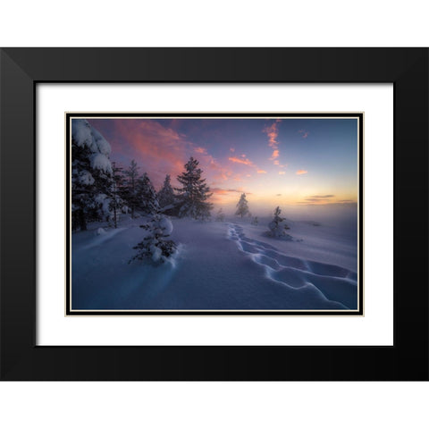 Winter Steps Black Modern Wood Framed Art Print with Double Matting by Henrik Skjelstad, Ole