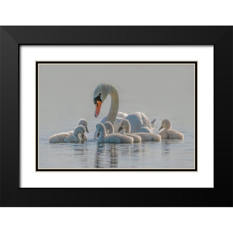 Mom Is The Whole World For Babies. Black Modern Wood Framed Art Print with Double Matting by Tracy
