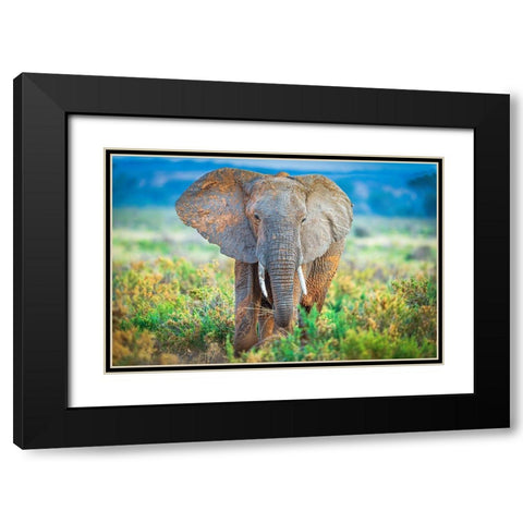 Pastel Elephant Black Modern Wood Framed Art Print with Double Matting by C. Sink, Jeffrey