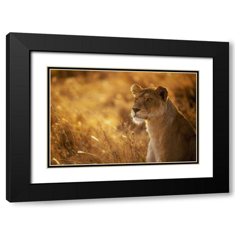 Sunshine Black Modern Wood Framed Art Print with Double Matting by Alnaser, Mohammed