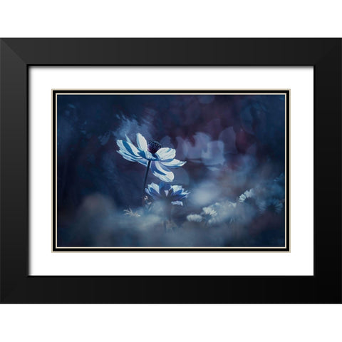 Juste Une Tite Chanson Damour Black Modern Wood Framed Art Print with Double Matting by Bravin, Fabien