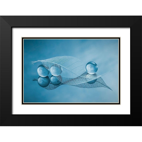 Dry Leaf And Bubbles Black Modern Wood Framed Art Print with Double Matting by Jacobs, Lydia