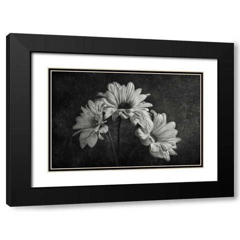 Untitled Black Modern Wood Framed Art Print with Double Matting by Clough, Stephen