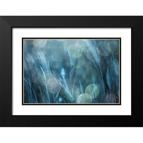 Fantastic Nature Black Modern Wood Framed Art Print with Double Matting by Kiral, Cicek
