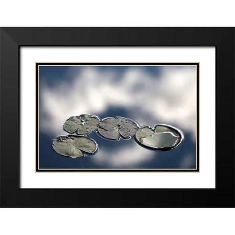 Four Black Modern Wood Framed Art Print with Double Matting by Johansson, Bror