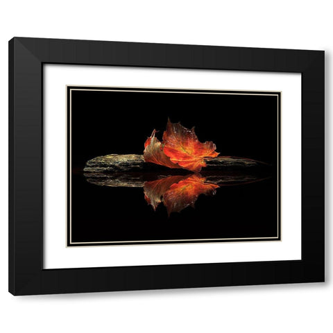 Autumn Colors Black Modern Wood Framed Art Print with Double Matting by Ianeva, Aida