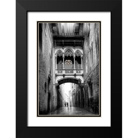 Bishopaas Bridge (Barcelona Series) Black Modern Wood Framed Art Print with Double Matting by Punyet Miro, Carles