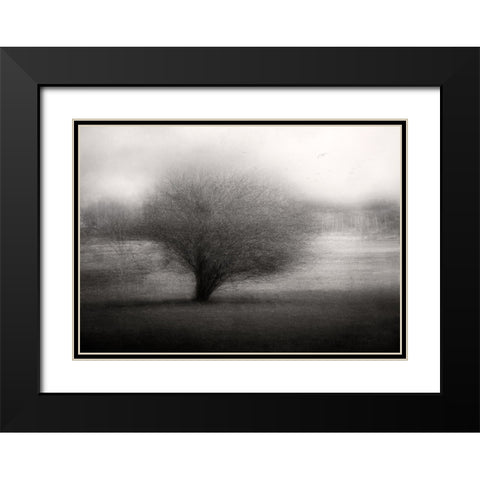 On The Meadow Black Modern Wood Framed Art Print with Double Matting by Holmstrom, Katarina