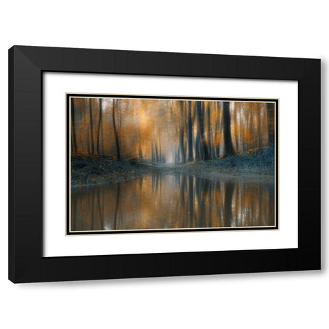 The Woods Black Modern Wood Framed Art Print with Double Matting by Z, Bingo