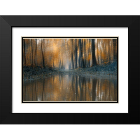 The Woods Black Modern Wood Framed Art Print with Double Matting by Z, Bingo