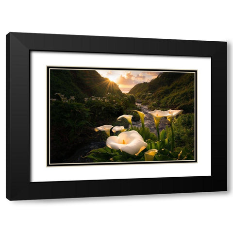 Calla Lily World Black Modern Wood Framed Art Print with Double Matting by Macua, Gerald
