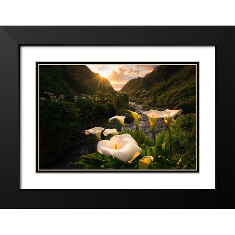 Calla Lily World Black Modern Wood Framed Art Print with Double Matting by Macua, Gerald