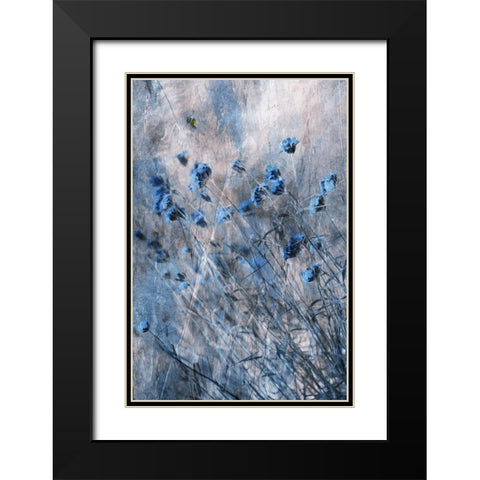 Blue Flowers Black Modern Wood Framed Art Print with Double Matting by Devos, Delphine