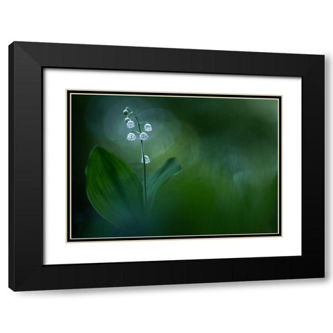 Lilly Of The Valley Black Modern Wood Framed Art Print with Double Matting by Dvorak, Petra