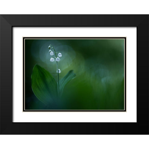 Lilly Of The Valley Black Modern Wood Framed Art Print with Double Matting by Dvorak, Petra