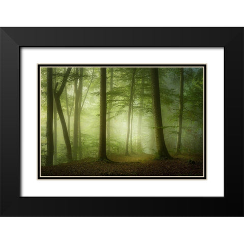 Mysterious Spring Morning Black Modern Wood Framed Art Print with Double Matting by Maier, Norbert