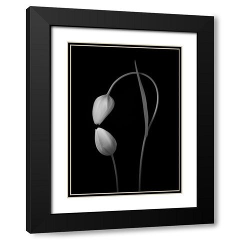 Flowers Love Black Modern Wood Framed Art Print with Double Matting by Xu, Tony
