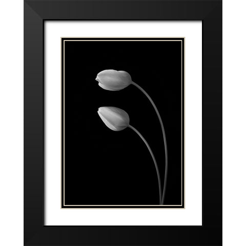 Flowers Love Black Modern Wood Framed Art Print with Double Matting by Xu, Tony
