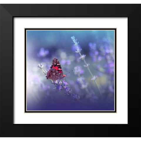 Queen Of Flowers.. Black Modern Wood Framed Art Print with Double Matting by Nan, Juliana