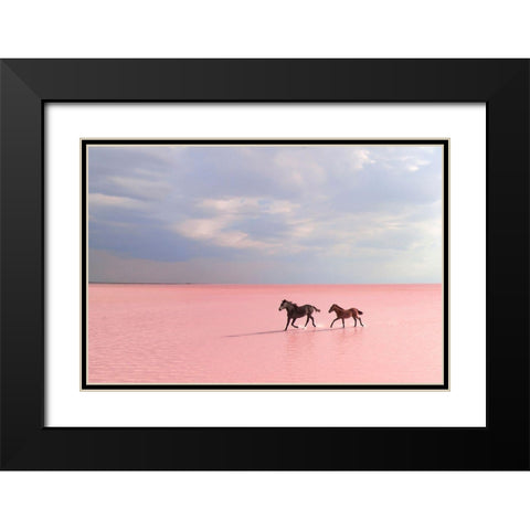 Pink Salt Lake Black Modern Wood Framed Art Print with Double Matting by Uzumcu, Suleyman
