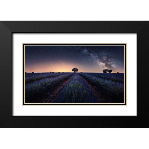 Lavender Fields Black Modern Wood Framed Art Print with Double Matting by Ruiz Dueso, Jorge