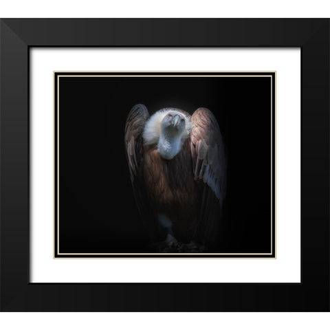 observant Black Modern Wood Framed Art Print with Double Matting by Kamera