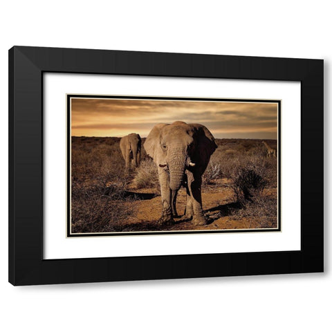 Big Black Modern Wood Framed Art Print with Double Matting by Lackner, Walter