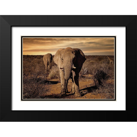 Big Black Modern Wood Framed Art Print with Double Matting by Lackner, Walter