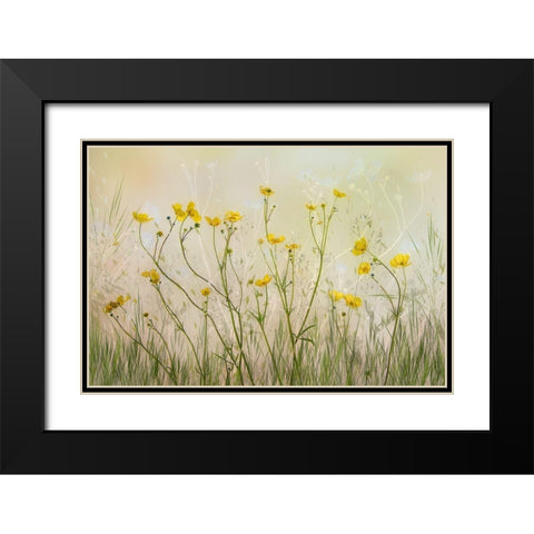 Good Morning! Black Modern Wood Framed Art Print with Double Matting by Talen, Nel