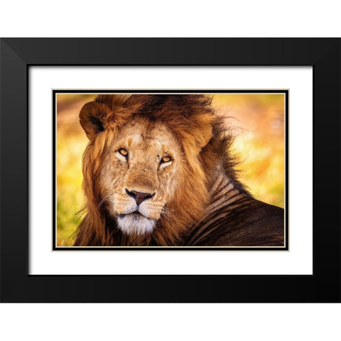 King Doa Black Modern Wood Framed Art Print with Double Matting by Alnaser, Mohammed