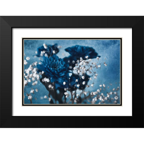 Dahlia Black Modern Wood Framed Art Print with Double Matting by Kreiten, Mike
