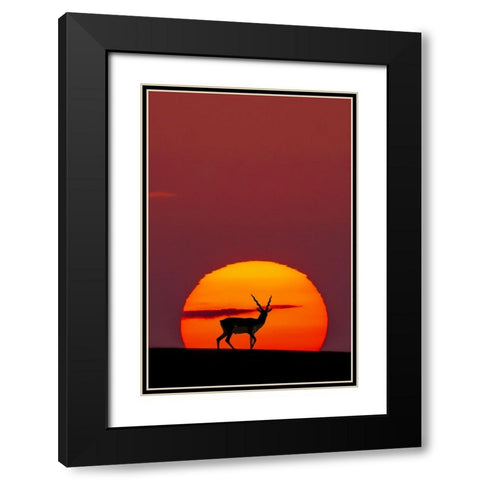 Sun Crossing Black Modern Wood Framed Art Print with Double Matting by Saleem, Abdul