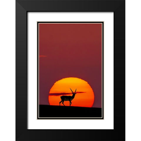 Sun Crossing Black Modern Wood Framed Art Print with Double Matting by Saleem, Abdul