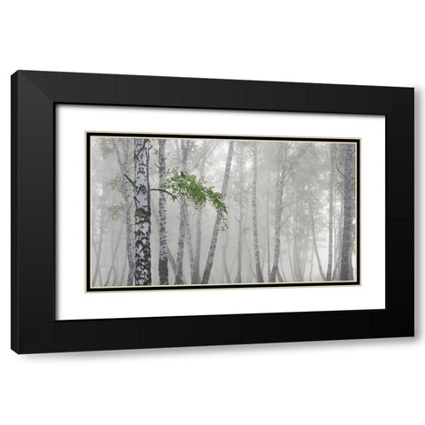 Non-Flying Weather Black Modern Wood Framed Art Print with Double Matting by Romanchuk, Sergey
