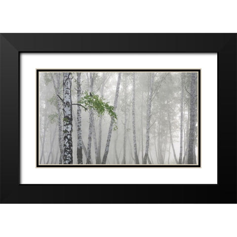Non-Flying Weather Black Modern Wood Framed Art Print with Double Matting by Romanchuk, Sergey