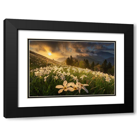 White Carpet Black Modern Wood Framed Art Print with Double Matting by Komovec, Ales