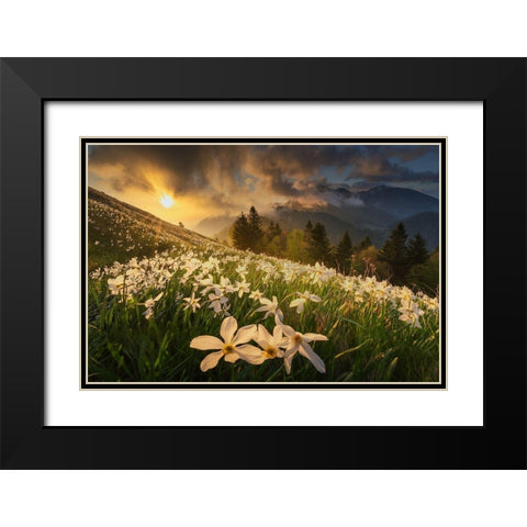 White Carpet Black Modern Wood Framed Art Print with Double Matting by Komovec, Ales