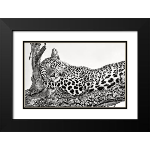 Time To Rest Black Modern Wood Framed Art Print with Double Matting by Ortega, Xavier