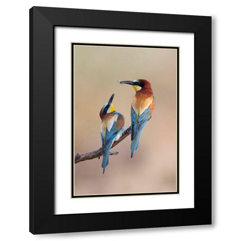 The Gift Black Modern Wood Framed Art Print with Double Matting by Bolla, Paolo