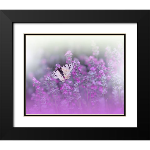 Queen Of Flowers..II Black Modern Wood Framed Art Print with Double Matting by Nan, Juliana