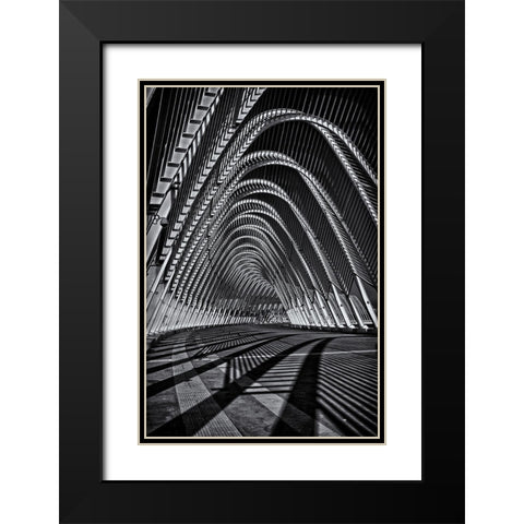 Calatrava Constraction #03 Black Modern Wood Framed Art Print with Double Matting by Logiotatides, Yiannis