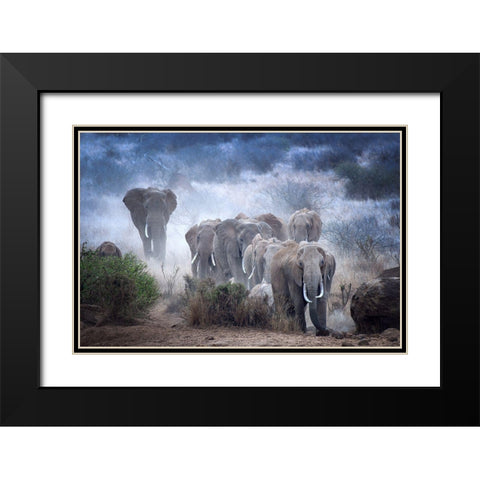 Elephants Of Amboseli Black Modern Wood Framed Art Print with Double Matting by George, Sherin