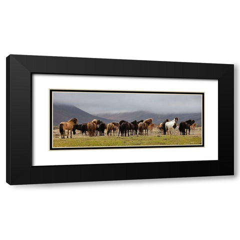 Big Family Black Modern Wood Framed Art Print with Double Matting by H. Ingibergsson, Torsteinn