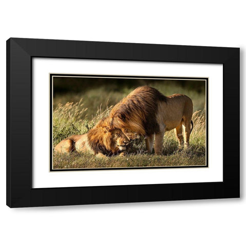 Intimate Black Modern Wood Framed Art Print with Double Matting by Tsui, Hung