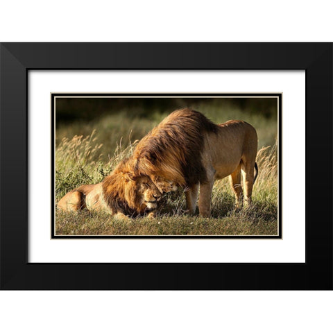 Intimate Black Modern Wood Framed Art Print with Double Matting by Tsui, Hung